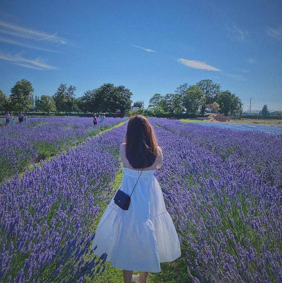 Meet your Posher, Liz - Picture 1 of 1